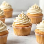 Moist Fluffy Vanilla Cupcakes