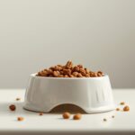 Nutrients Missed Homemade Dog Food