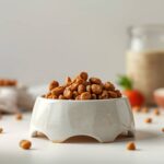 Vet-Approved Homemade Dog Foods